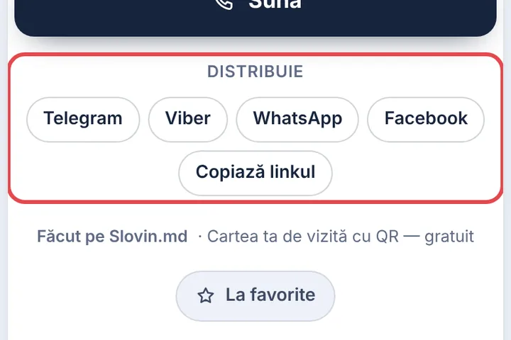 Cum vede vizitatorul