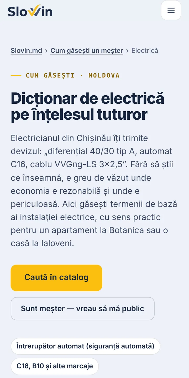 Dicționarul de termeni