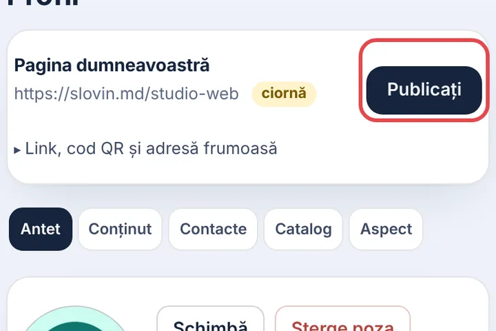 Publicați